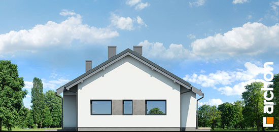 Проект дома Дом в пеперомиях 4 - 4 Одноэтажные дома в Киеве
