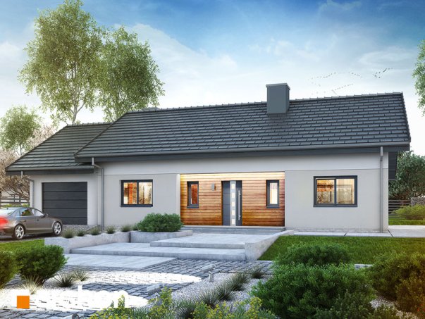 Проект дома Дом в овсянницах (Г) - 1 Одноэтажные дома в Киеве