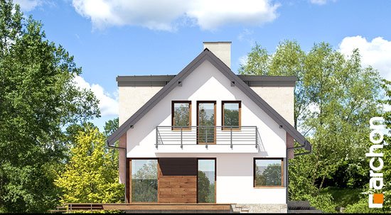 Проект дома Дом в амариллисах 3 вер.2 - 5 С мансардным этажом дома в Киеве