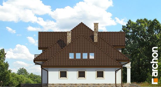 Проект дома Дом в каллах 3 вер.2 - 5 С мансардным этажом дома в Киеве