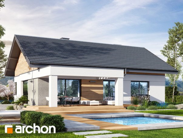 Проект дома Дом в цикории - 2 Одноэтажные дома в Киеве