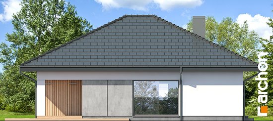 Проект дома Дом в хакетиях 6 - 4 Одноэтажные дома в Киеве