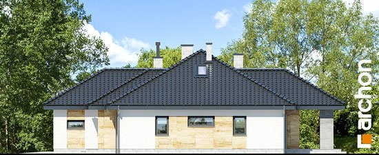 Проект дома Дом в акебиях 5 - 4 С мансардным этажом дома в Киеве