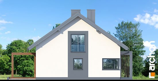 Проект дома Дом под красной рябиной 20 - 5 Одноэтажные дома в Киеве