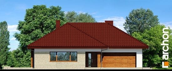 Проект дома Дом в сирени 2 (Г2) - 3 Одноэтажные дома в Киеве