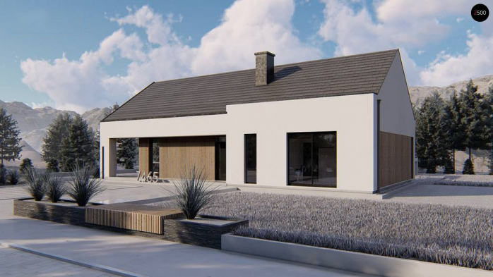 Проект дома U465 - 4 Одноэтажные дома в Киеве