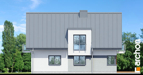 Проект дома Дом в амариллисах 8 - 6 С мансардным этажом дома в Киеве