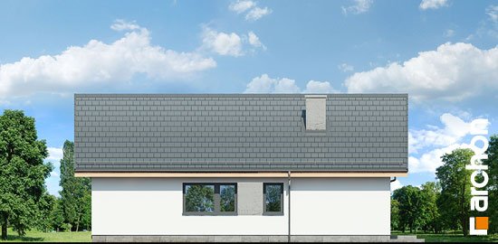 Проект дома Дом в мажанках - 5 Одноэтажные дома в Киеве