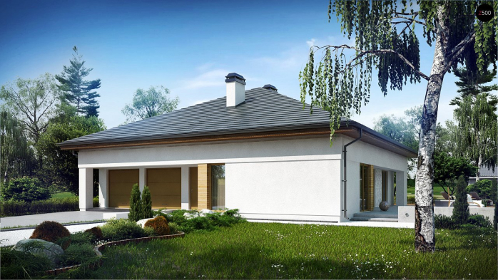 Проект дома U51 - 2 Одноэтажные дома в Киеве