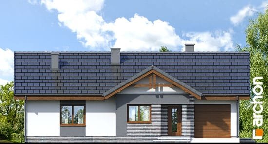 Проект дома Дом в неринах вер.2 - 3 Одноэтажные дома в Киеве