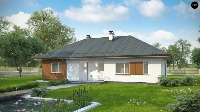 Проект дома U307 - 1 Одноэтажные дома в Киеве