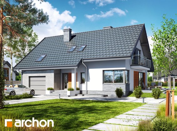 Проект дома Дом в айдаредах 4 (П)