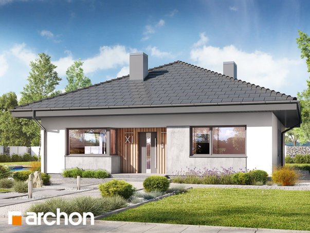 Проект дома Дом в хакетиях 6 - 1 Одноэтажные дома в Киеве