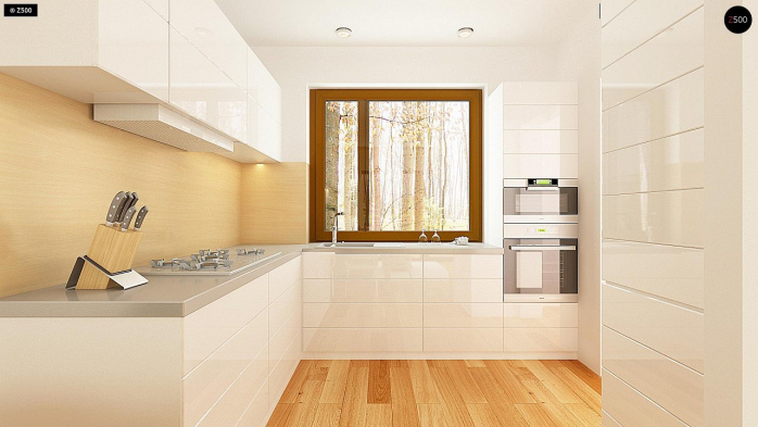 Проект дома U262 - 8 Одноэтажные дома в Киеве