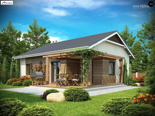 Проект дома U136 minus - 2 Одноэтажные дома в Киеве