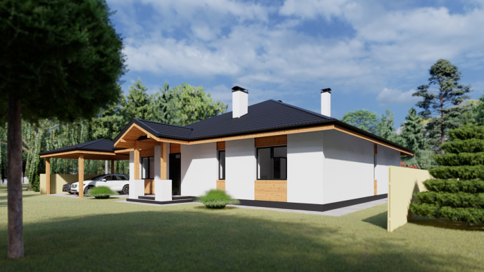 Проект дома DBT 196 - 2 Одноэтажные дома в Киеве