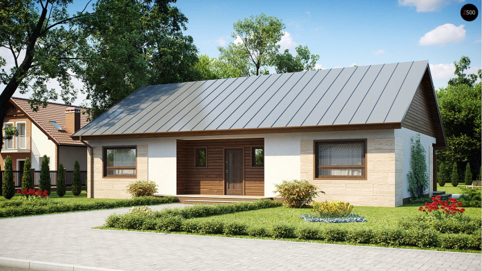 Проєкт будинку U98 - Одноповерхові дома у Києві