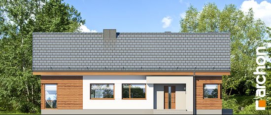 Проект дома Дом в галах 4 - 3 Одноэтажные дома в Киеве