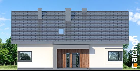 Проект дома Дом под красной рябиной 20 - 3 Одноэтажные дома в Киеве