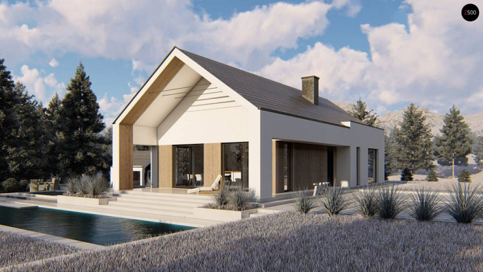 Проект дома U465 - 2 Одноэтажные дома в Киеве