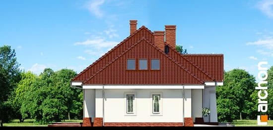 Проект дома Дом в лотосах (Г) вер.2 - 5 С мансардным этажом дома в Киеве