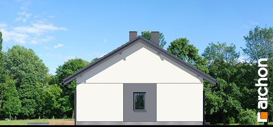 Проект дома Дом в сурфиниях 2 - 4 Одноэтажные дома в Киеве