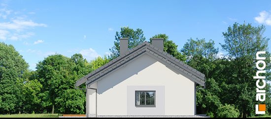 Проект дома Дом в овсянницах (Г) - 4 Одноэтажные дома в Киеве