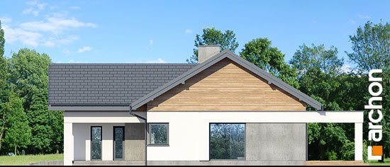 Проект дома Дом в цикории - 4 Одноэтажные дома в Киеве