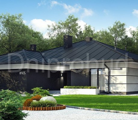 Большой одноэтажный коттедж у озера в Крюковщине