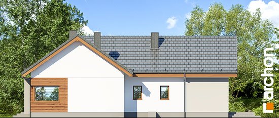 Проект дома Дом в галах 4 - 4 Одноэтажные дома в Киеве