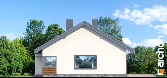 Проект дома Дом под красной рябиной 8 (H) - 5 Одноэтажные дома в Киеве