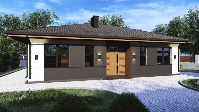 Проєкт будинку Db 12 - Одноповерхові дома у Києві