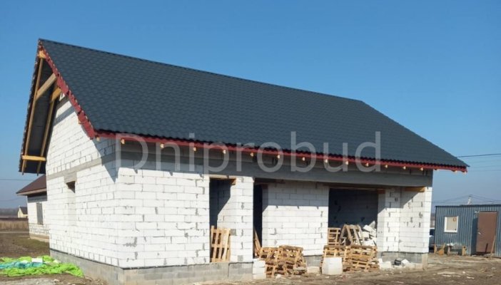 Одноповерховий будинок зі скатною покрівлею в с. Ревне