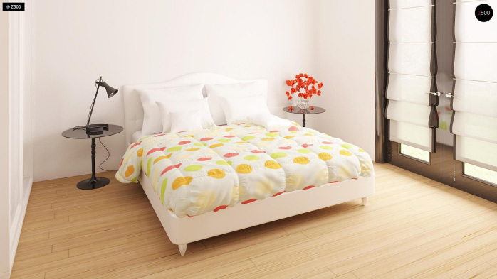 Проект дома U209 - 14 Одноэтажные дома в Киеве