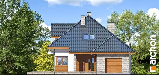 Проект дома Дом в сансевиериях - 3 С мансардным этажом дома в Киеве