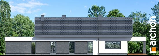 Проект дома Дом в пеперомиях 5 (Г2) - 6 Одноэтажные дома в Киеве