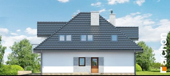 Проект дома Дом в тимьяне (Н)  вер.2 - 4 С мансардным этажом дома в Киеве