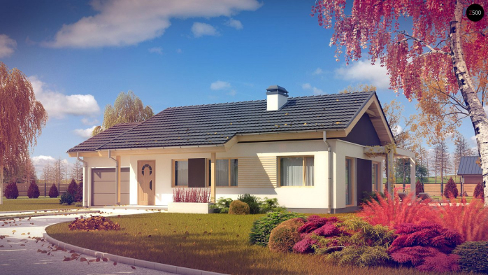 Проект дома U259 - 1 Одноэтажные дома в Киеве