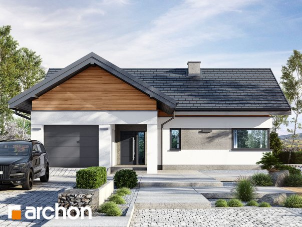 Проект дома Дом в цикории - 1 Одноэтажные дома в Киеве