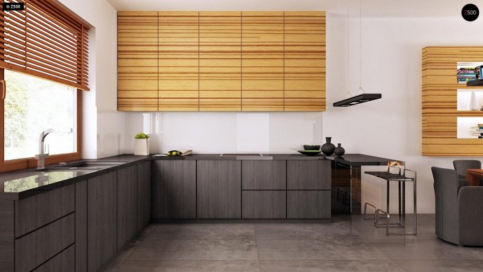 Проект дома U64 - 9 Одноэтажные дома в Киеве