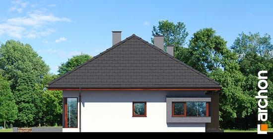 Проект дома Дом под красной рябиной (Н) вер.2 - 5 Одноэтажные дома в Киеве