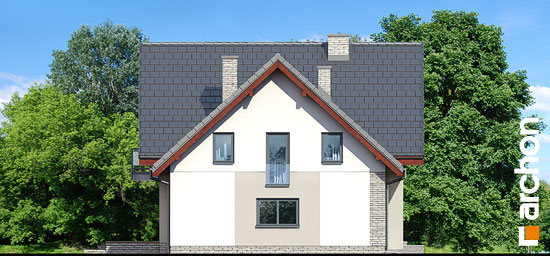 Проект дома Дом в амброзиях - 4 С мансардным этажом дома в Киеве