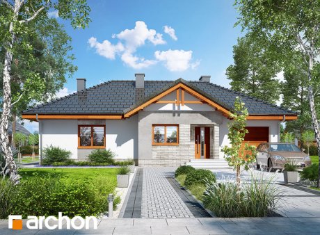 Проєкт будинку Будинок в нерінах 5