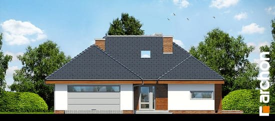 Проект дома Дом в хеномелесе 2 - 3 Одноэтажные дома в Киеве