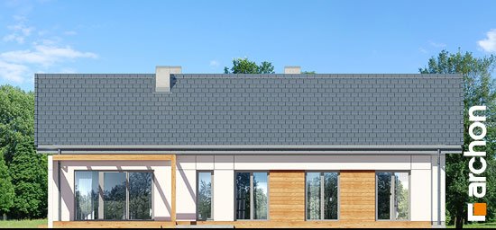 Проект дома Дом в базилике 2 - 6 Одноэтажные дома в Киеве