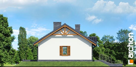 Проект дома Дом в ежевике вер.3 - 5 Одноэтажные дома в Киеве