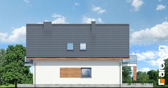 Проект дома Дом в хлорофитуме 4 - 6 С мансардным этажом дома в Киеве