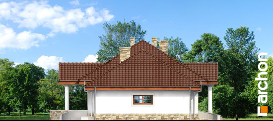 Проект дома Дом в гаурах вер.2 - 4 Одноэтажные дома в Киеве