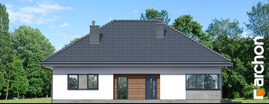 Проект дома Дом в жонкилях (В) - 3 Одноэтажные дома в Киеве