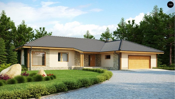 Проект дома U81 - 1 Одноэтажные дома в Киеве